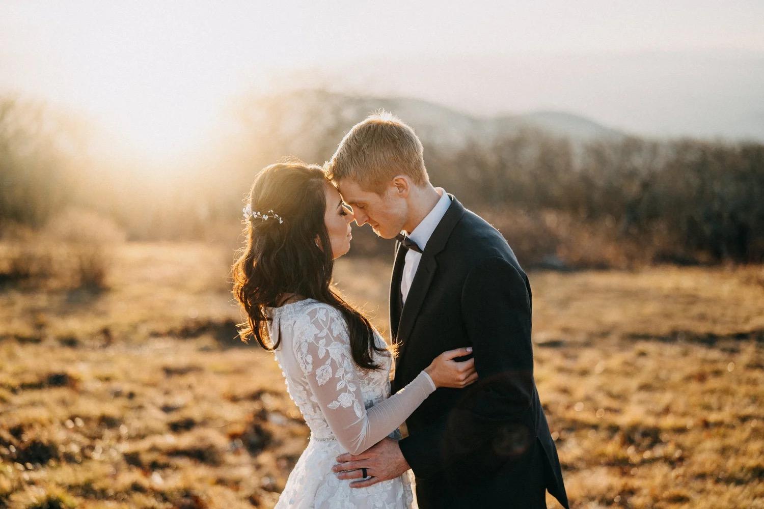 Blooming Dreams Photo